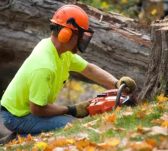 tree services Melbourne